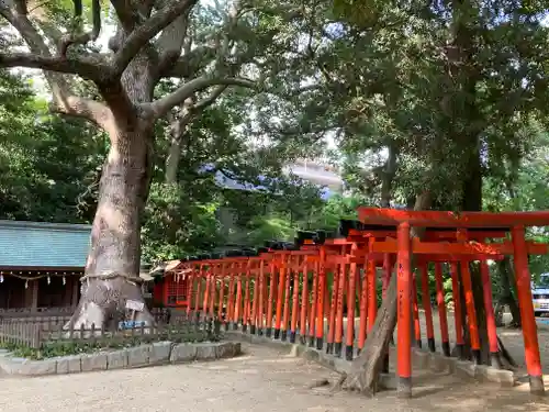 大市八幡神社の鳥居