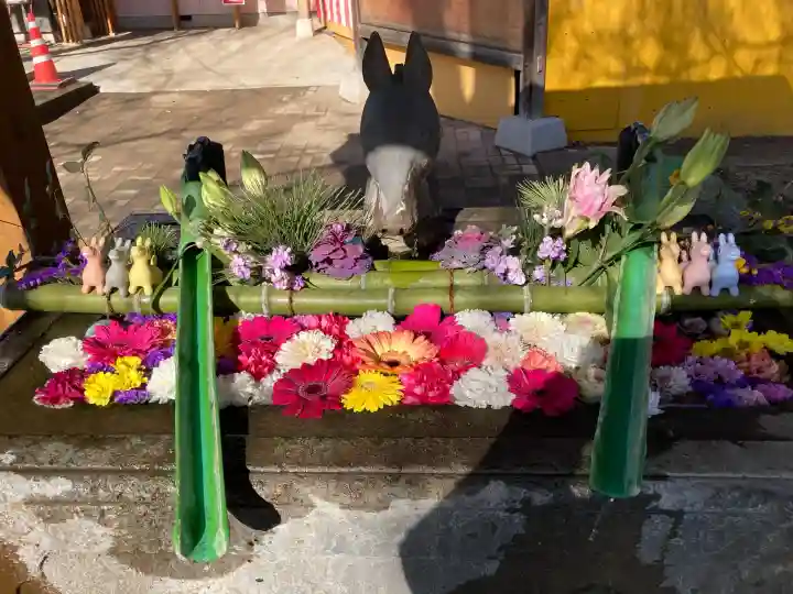 駒形神社の{uncategorized: "未分類", other: "その他", undefined: "問題あり", building: "その他建物", grave: "お墓", sacred_gate: "鳥居", guardian: "狛犬", statue: "像", buddha: "仏像", history: "歴史", nature: "自然", garden: "庭園", animal: "動物", pagoda: "塔", temizu: "手水舎", mountain_gate: "山門・神門", sanctuary: "本殿・本堂", subordinate: "末社・摂社", art: "芸術", scenery: "景色", jizo: "地蔵", ema: "絵馬", goshuin: "御朱印", omikuji: "おみくじ", items: "授与品その他", amulet: "お守り", goshuincho: "御朱印帳", eats: "食事", festival: "お祭り", votive_dance: "神楽", shichigosan: "七五三参", wedding: "結婚式", experience: "体験その他", initially: "初詣", around: "周辺", anti_infection: "感染症対策"}
