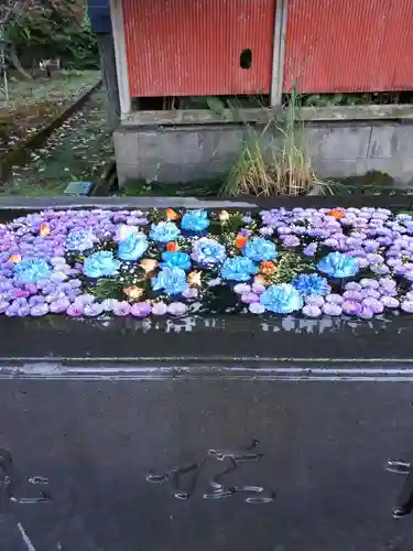 前玉神社の手水