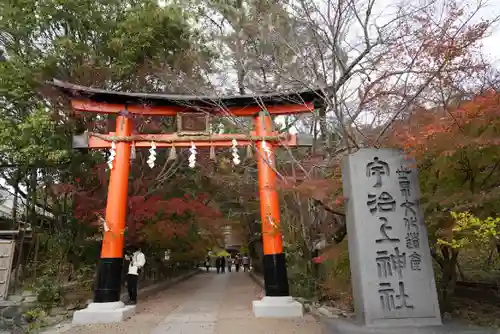 宇治上神社の鳥居