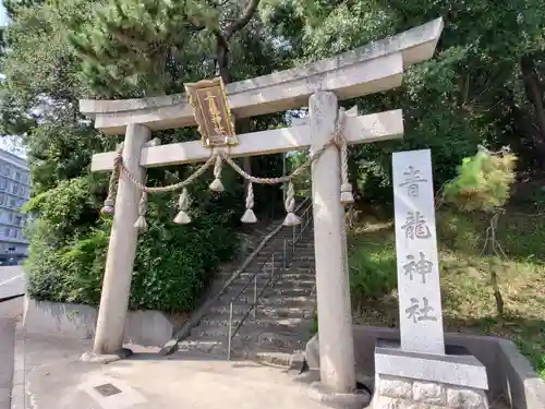 青龍神社の鳥居