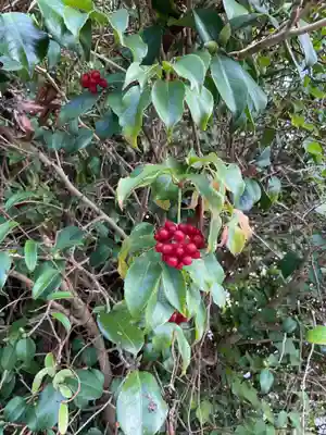 手白神社(愛知県)