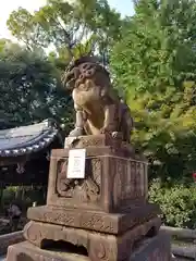 八坂神社(祇園さん)(京都府)