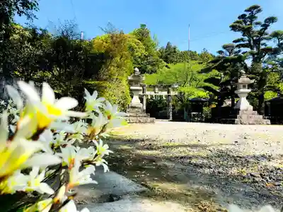 美奈宜神社のその他建物