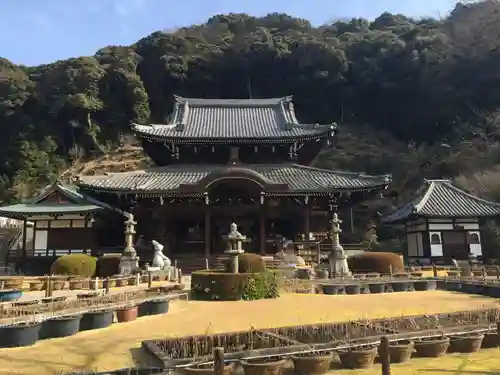 三室戸寺の本殿・本堂