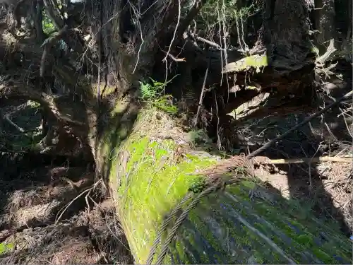 愛宕神社(京都府)