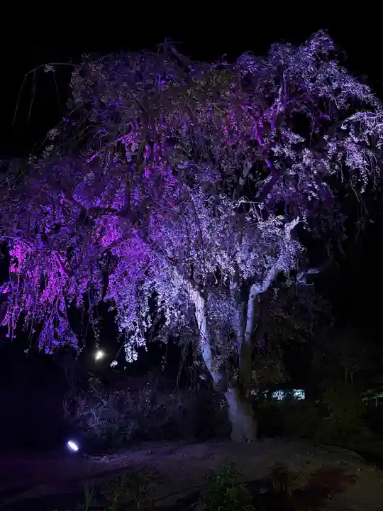 金蛇水神社(宮城県)