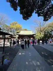 川越氷川神社(埼玉県)