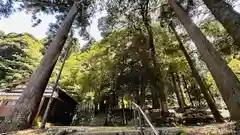 泉神社(福井県)