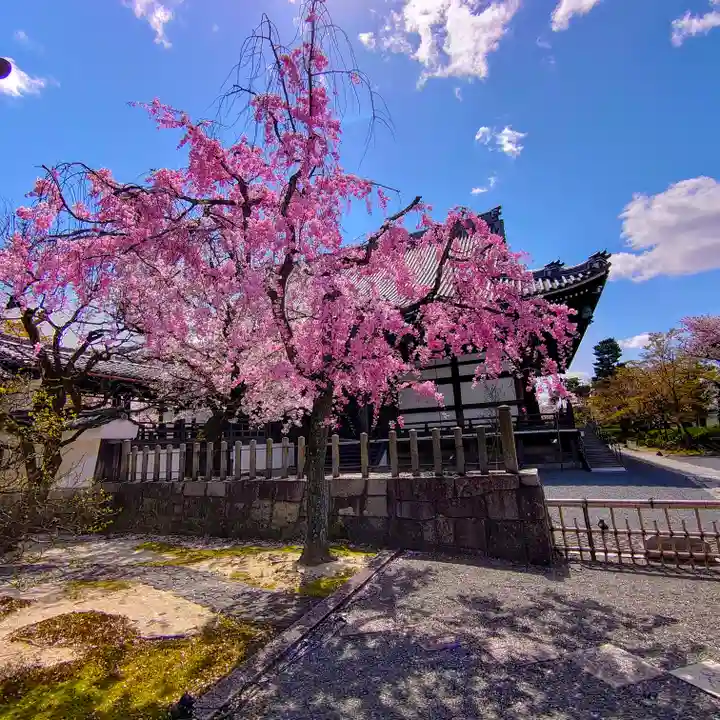 妙顯寺(妙顕寺)(京都府)