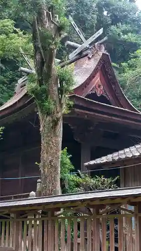 大隅神社(岡山県)