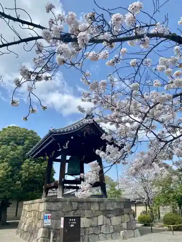 東寺（教王護国寺）(京都府)