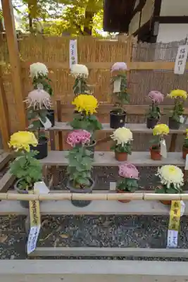 諏訪大社下社秋宮(長野県)