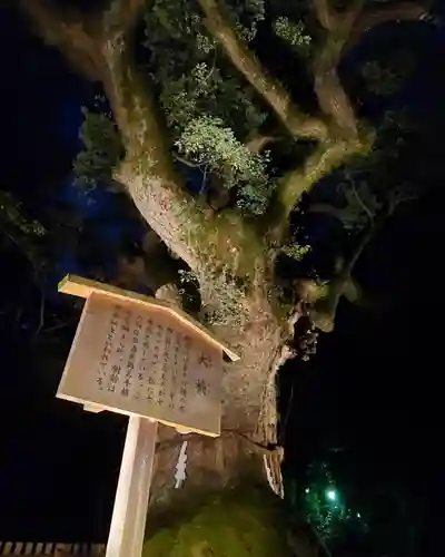 熱田神宮の自然