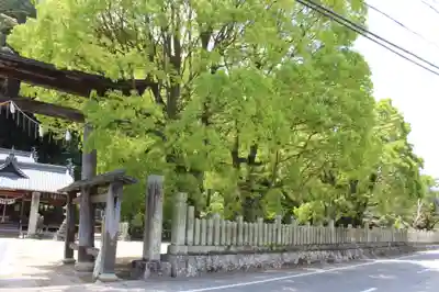 日吉神社の周辺