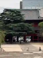 増上寺の山門・神門
