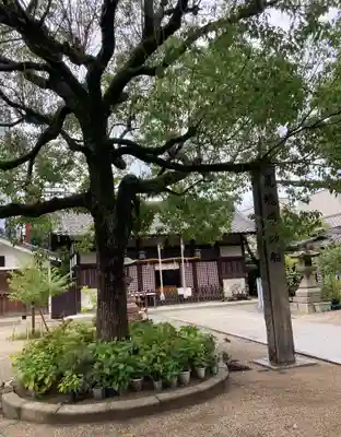 四貫島住吉神社(大阪府)
