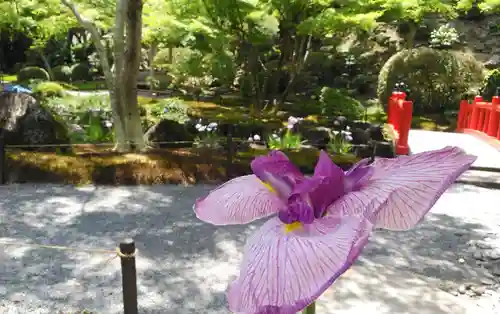 祐徳稲荷神社の自然