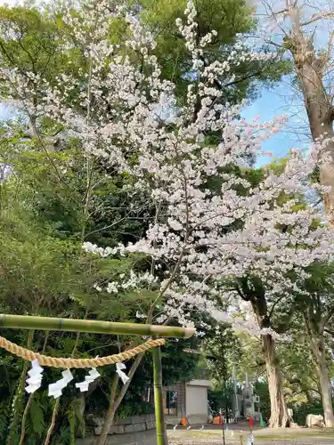 玉前神社の自然