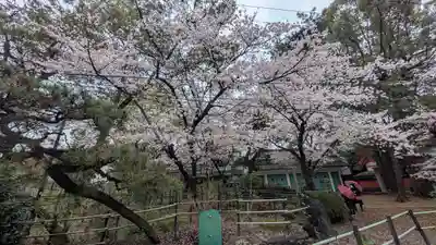 藤森神社(京都府)