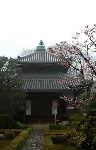 安楽寺の建物その他