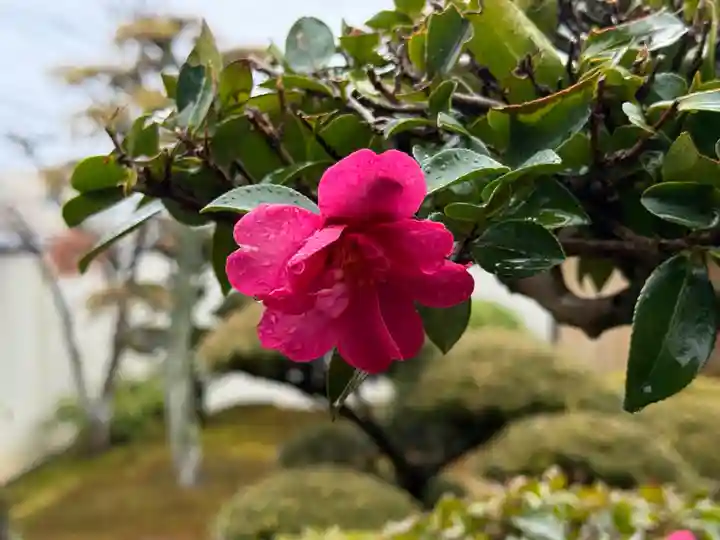 西方山極楽寺(岐阜県)