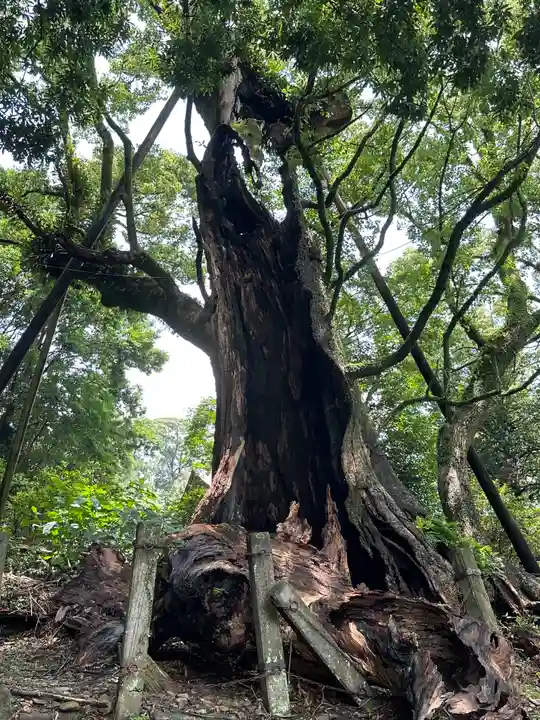 都萬神社の自然