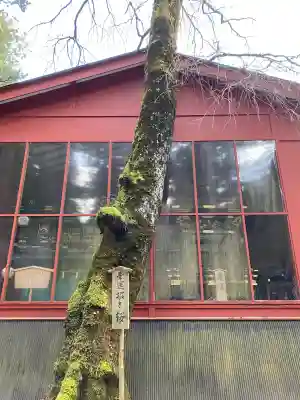 日光二荒山神社(栃木県)