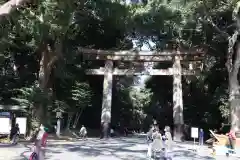 明治神宮の鳥居