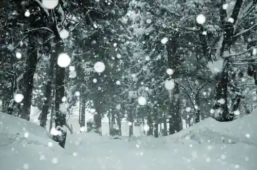 飯笠山神社(長野県)
