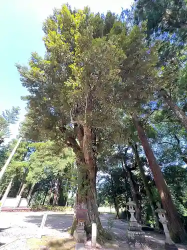 稲田神社(茨城県)