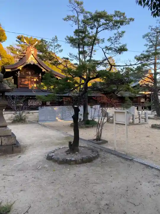 弓弦羽神社(兵庫県)