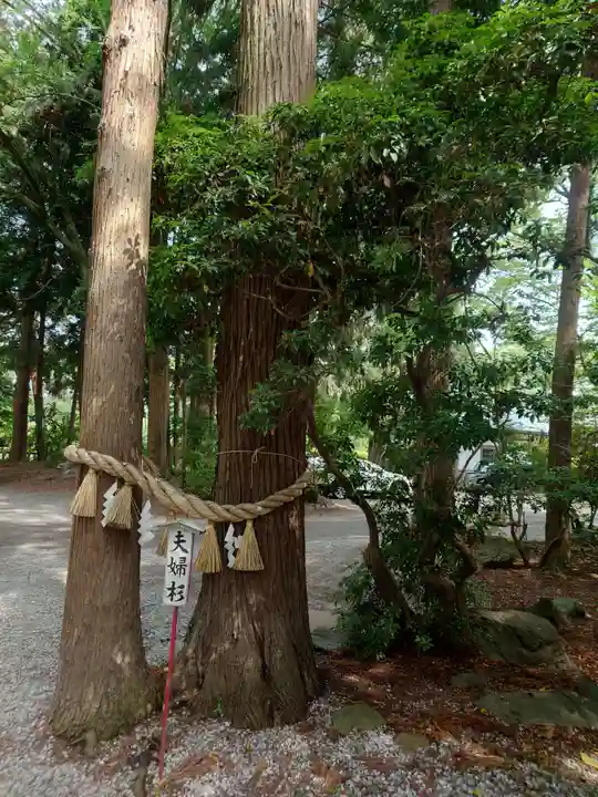 駒形神社(岩手県)
