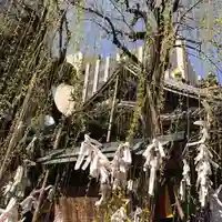 頂法寺(六角堂)(京都府)