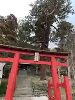 日枝神社の鳥居