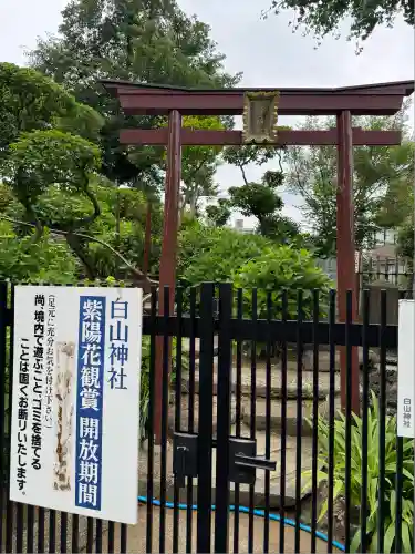 白山神社(東京都)