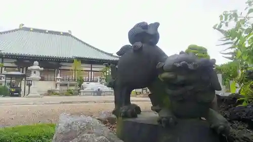 林光寺の狛犬