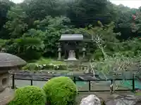 大日寺の自然