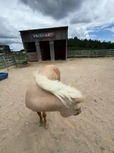 八天堂神社(広島県)