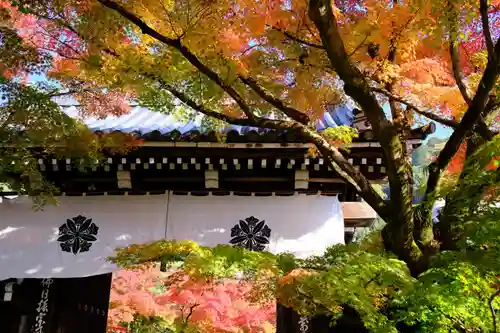 禅林寺（永観堂）の山門・神門