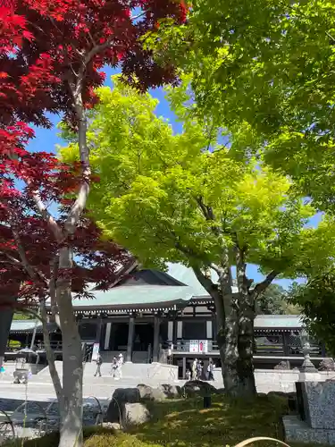 尊永寺(静岡県)