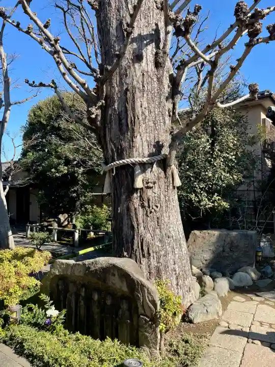 常性寺の{uncategorized: "未分類", other: "その他", undefined: "問題あり", building: "その他建物", grave: "お墓", sacred_gate: "鳥居", guardian: "狛犬", statue: "像", buddha: "仏像", history: "歴史", nature: "自然", garden: "庭園", animal: "動物", pagoda: "塔", temizu: "手水舎", mountain_gate: "山門・神門", sanctuary: "本殿・本堂", subordinate: "末社・摂社", art: "芸術", scenery: "景色", jizo: "地蔵", ema: "絵馬", goshuin: "御朱印", omikuji: "おみくじ", items: "授与品その他", amulet: "お守り", goshuincho: "御朱印帳", eats: "食事", festival: "お祭り", votive_dance: "神楽", shichigosan: "七五三参", wedding: "結婚式", experience: "体験その他", initially: "初詣", around: "周辺", anti_infection: "感染症対策"}