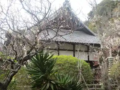 浄光明寺(神奈川県)