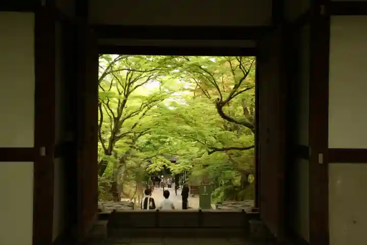 常寂光寺(京都府)