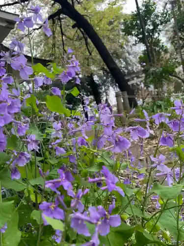 駒込富士神社(東京都)