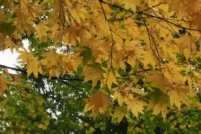 桜天満宮(京都府)