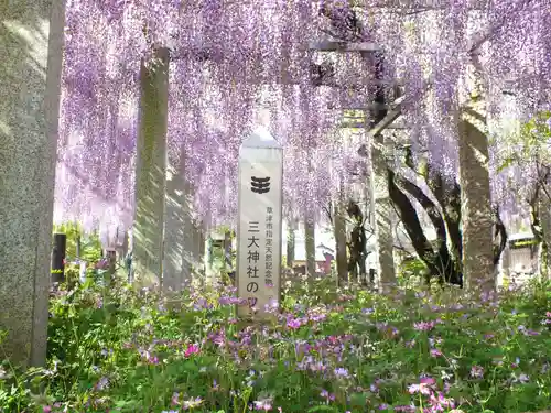 三大神社のその他建物