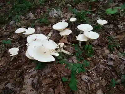 権現山内浦神社(北海道)