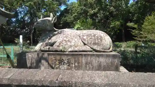 櫻八幡神社の狛犬