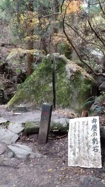 名草厳島神社の自然